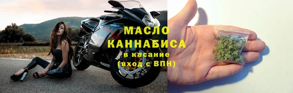 сатива Новозыбков