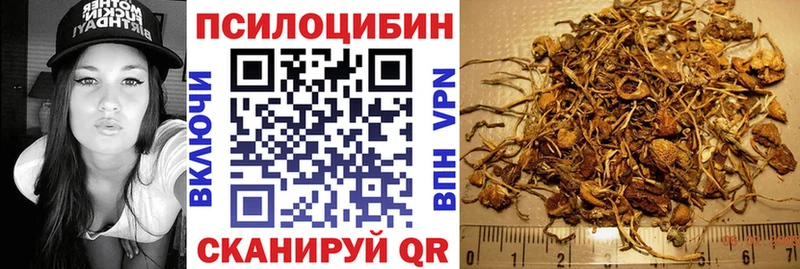Псилоцибиновые грибы Magic Shrooms Морозовск