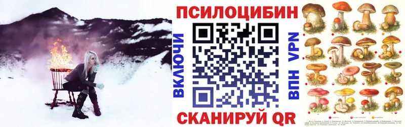 blacksprut зеркало сколько стоит Морозовск Псилоцибиновые грибы Magic Shrooms